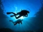Diving and Hiking Tour in Eastern Island