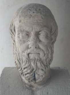 Herodotus Agora Mus1